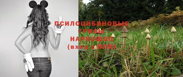МДПВ Абаза